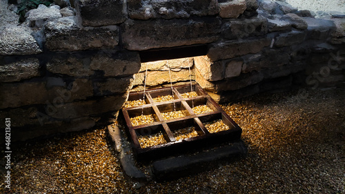 Fountain of Youth Ponce De Leon St Augustine Florida 