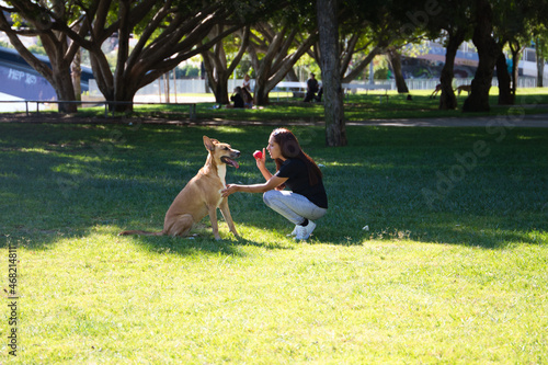 Adult woman playing with her dog in the park and having fun. One more in the family. Pets concept. 4 October World Pet Day.
