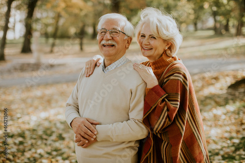 Senior couple embracing in ...