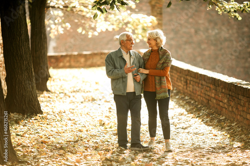 Senior couple walking in au...