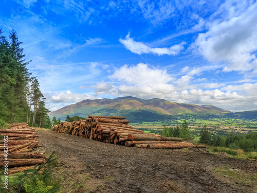 View from Whinlatter overlooking Skiddaw, The Lake District, England