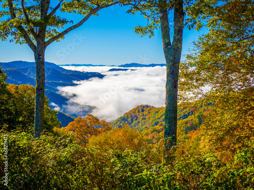 Clouds in the valley from Newfound Gap Road in the Great Smoky Mountains National Park in North Carolina photo
