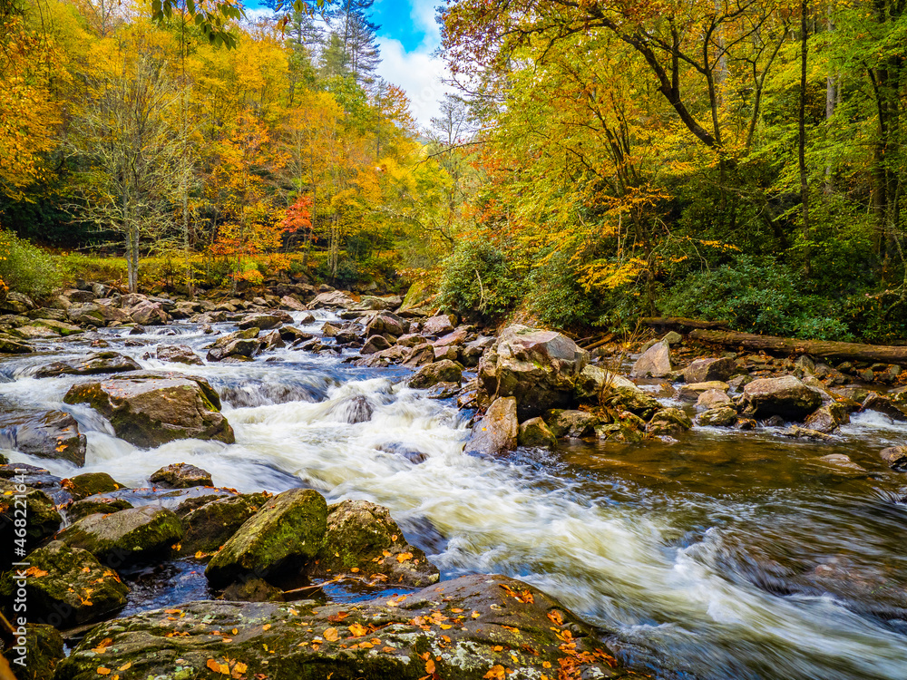 Fall color around small waterfals in the Cullasaja River in Nantahala National Forest between Franklin and Highlands North Carolina USA