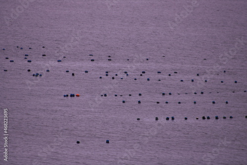 shellfish farming at sea