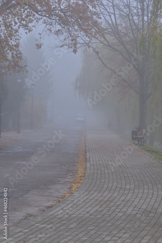 Autumn street, car, street lamp and fog on a gloomy day. Autumn.