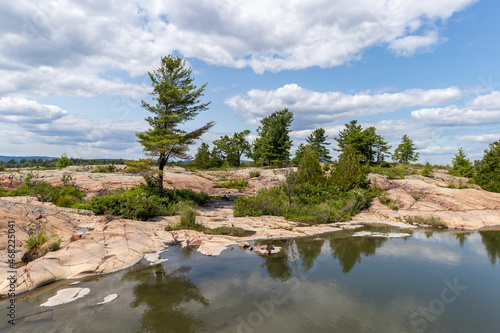 pine trees on a granite island on Georgian Bay  Ontario  Canada