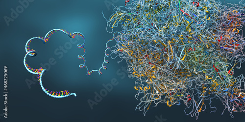 Ribosome as part of an biological cell constructing messenger rna molecules - 3d illustration photo