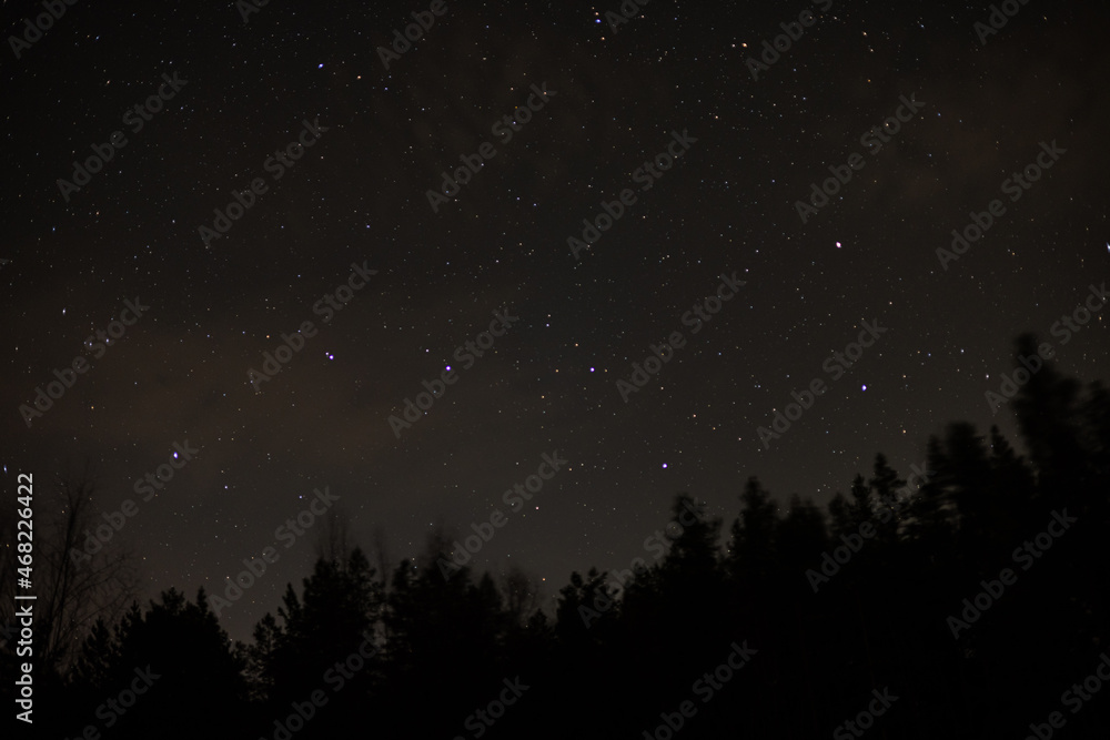 Night shot of the constellation Ursa Major over a dark forest.