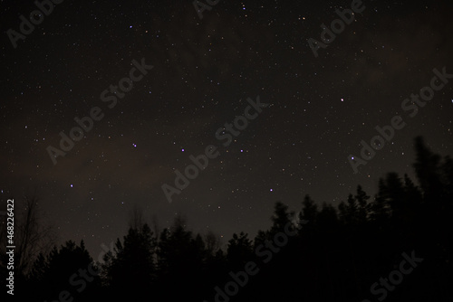 Night shot of the constellation Ursa Major over a dark forest. © Ilya