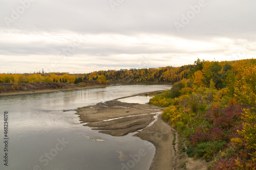 An Autumn Forest near a River