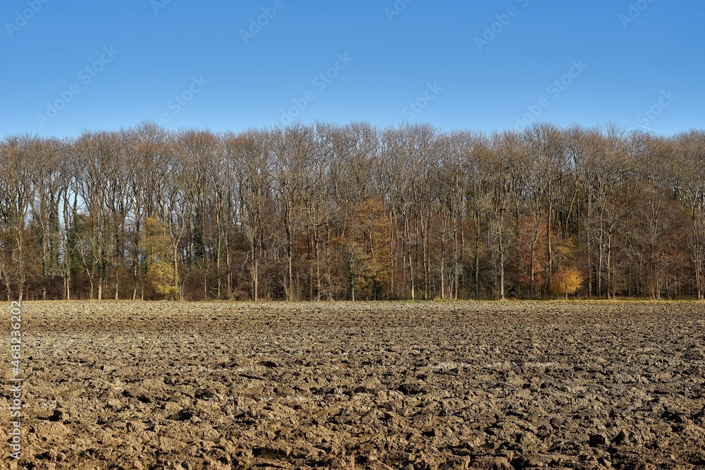 A plowed field against a clear blue sky in November. Germany A plowed field against a clear blue sky in November. Germany