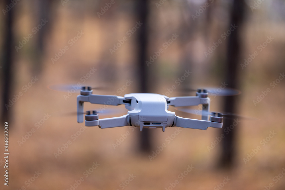 Quadrocopter flying in a pine forest. Quadrocopter flying in a pine forest.