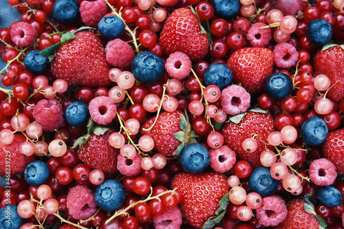 Fototapeta Naklejka Na Ścianę i Meble -  Fresh ripe organic fruits and berries from market: strawberry and raspberry, currant and blueberry; healthy fruit and berry background