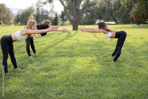 European girlfriends practicing yoga on green meadow at sunny day. Concept of healthy lifestyle. Idea of relaxation. Friendship. Young athletic women barefoot and wearing sportswear