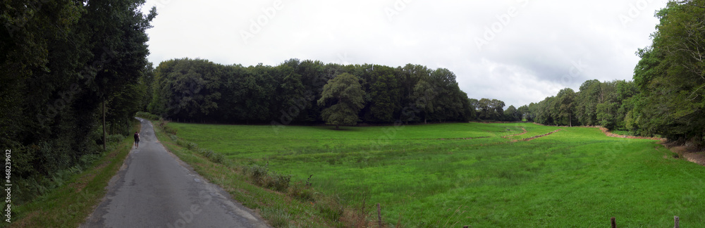 Le chemin, aventure pédestre en images sur les grands chemins de randonnées en France et en Europe. Le chemin, aventure pédestre en images sur les grands chemins de randonnées en France et en Europe.