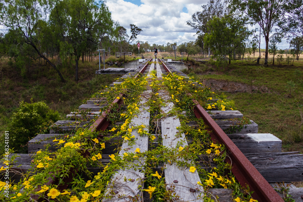 flowers cover abandoned train line