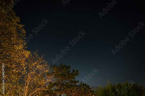 Photography Sirius Below Orions Belt