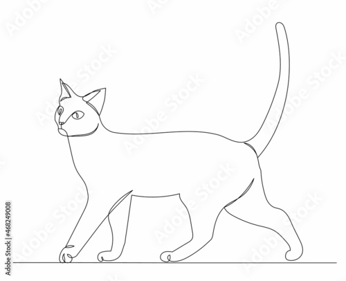 cat drawing by one continuous line, vector