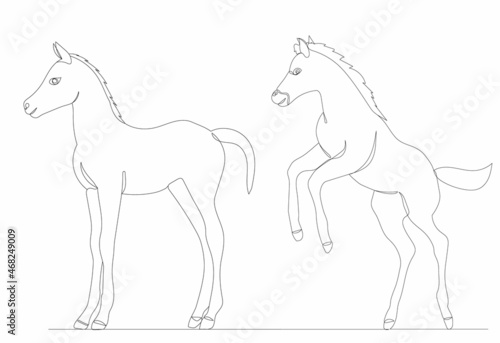 foals drawing by one continuous line  vector  isolated