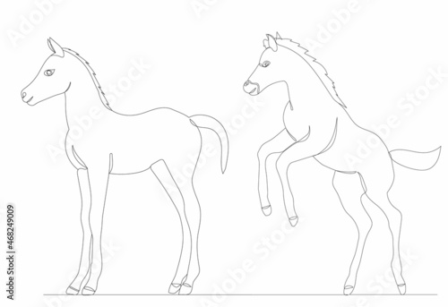 foals drawing by one continuous line, vector, isolated