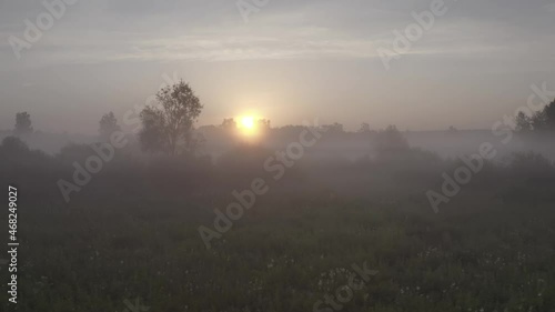 drone flies in the fog, dawn