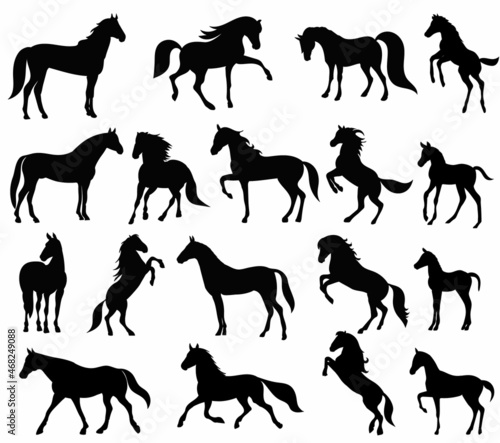 set  collection of horse silhouette  isolated  vector