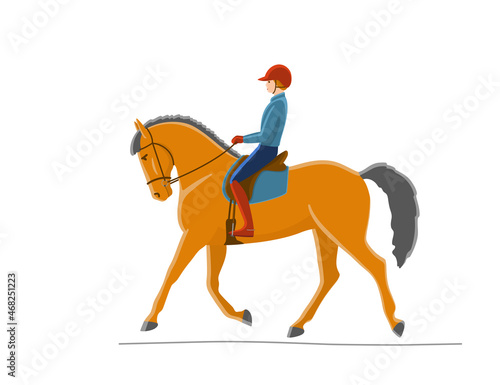 Beautiful horsewoman rides a cute horse, vector illustration without outline