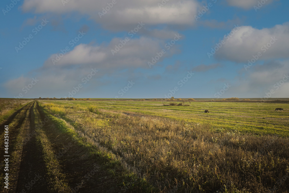 autumn nature of Sursky krai