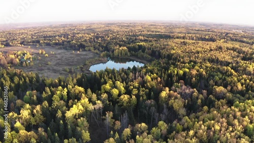 drone over over field, autumn forest, forest lake