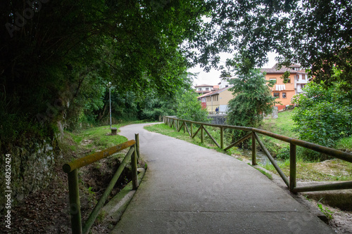 Path with wooden fence through the forest