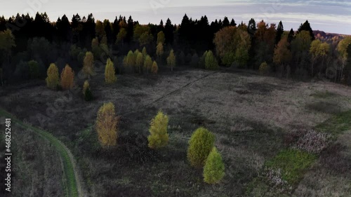 drone over the field, forest, pond