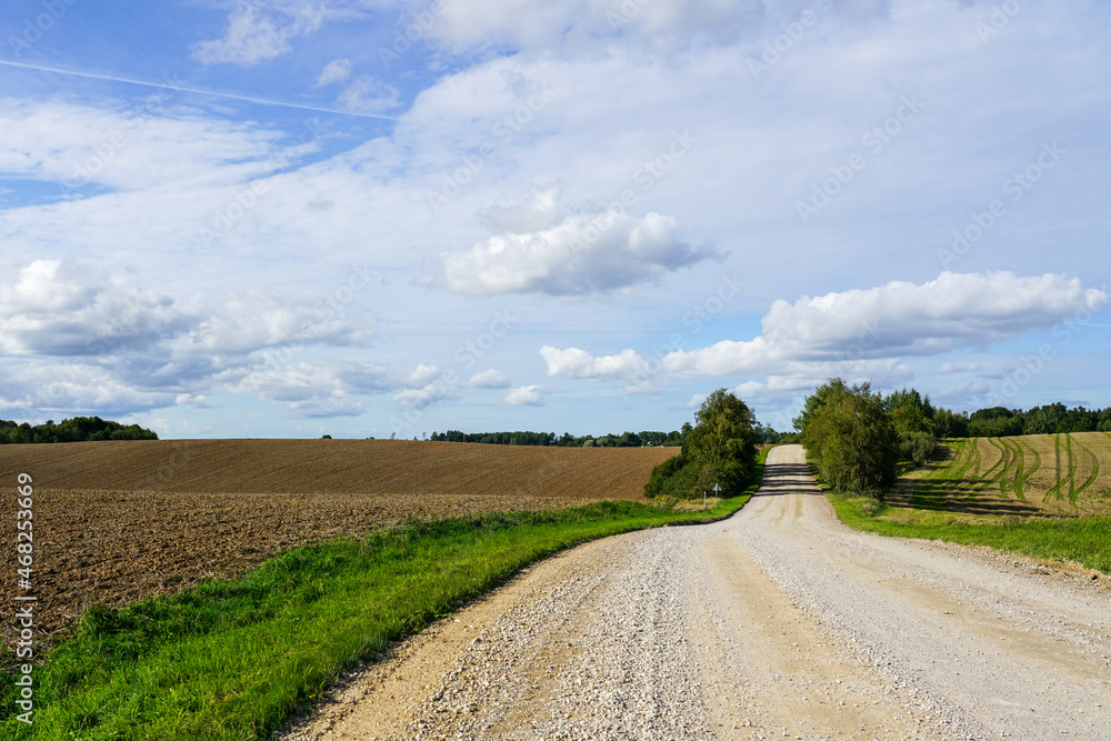 beautiful rural landscape with plowed field, gravel road, forest and blue sky