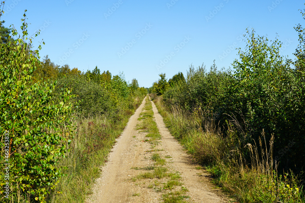 a straight gravel road in the countryside through the bushes