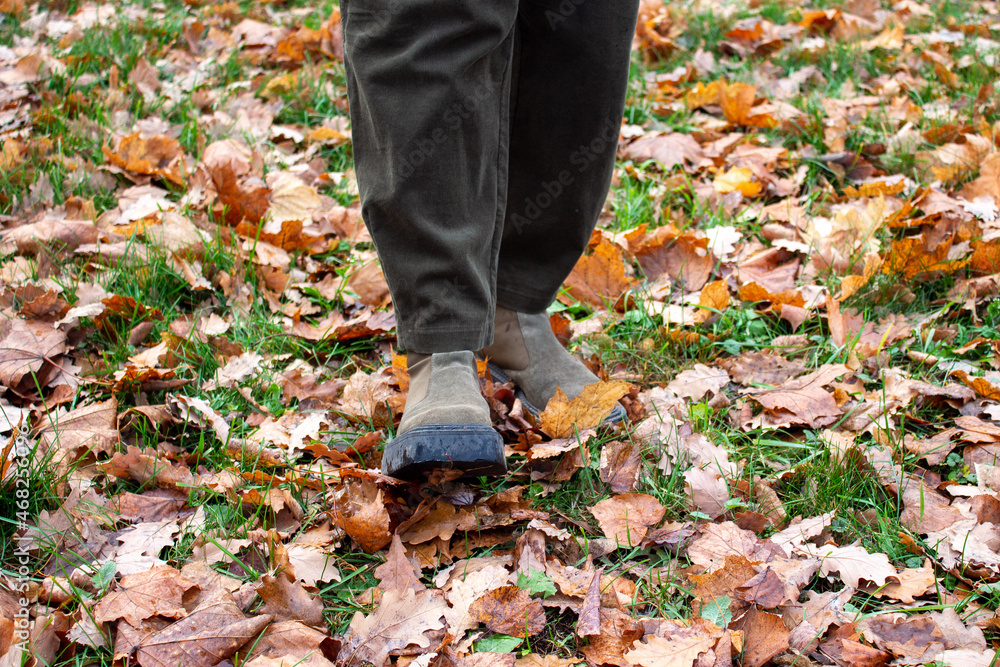 the feet of a teenager walk through the fall foliage the feet of a teenager walk through the fall foliage