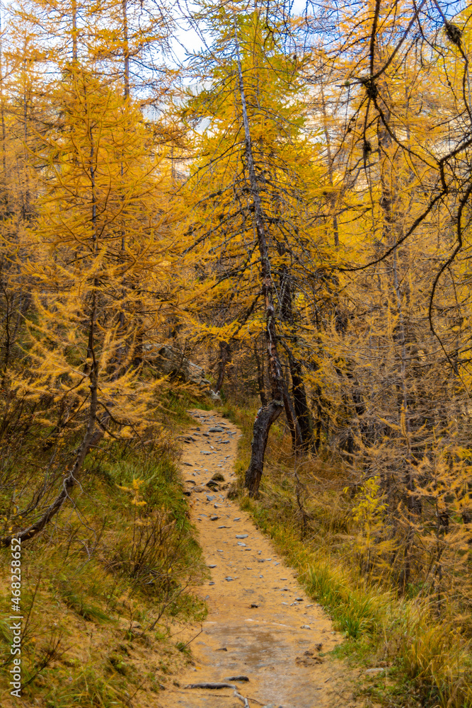 La Valle Varaita in versione autunnale. I laghi, le nebbie, i monti e le strade che si tingono d’oro La Valle Varaita in versione autunnale. I laghi, le nebbie, i monti e le strade che si tingono d’oro