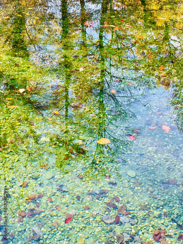 herbstliches Spiegelbild