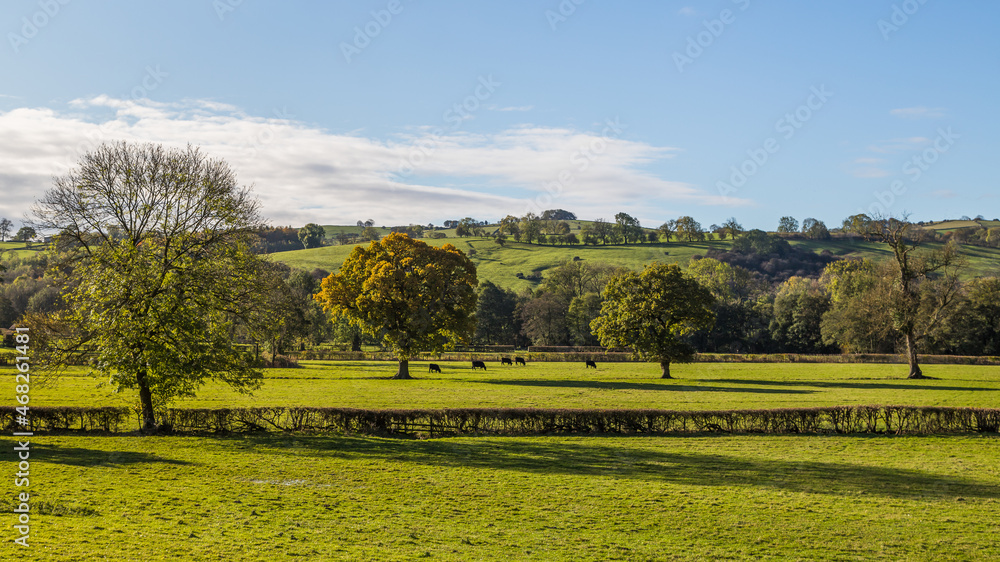 Fields near Milldale in the Peak District
