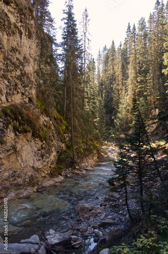 A Stream flowing through Johnston Canyon