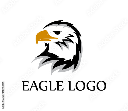 vector eagle head logo, inspirational logo