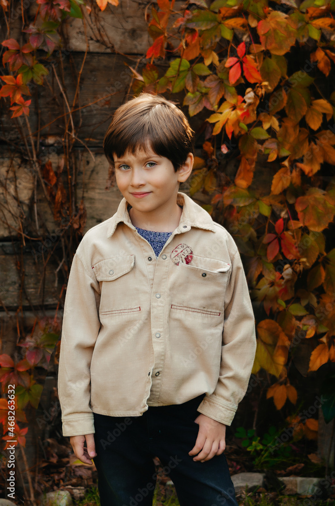 boy in Autumn park. Autumnal mood. Smiling kid walking in autumn garden boy in Autumn park. Autumnal mood. Smiling kid walking in autumn garden