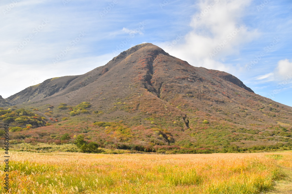 ススキ畑と大舟山 ススキ畑と大舟山
