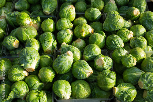 Close up of fresh Brussels sprouts at a 