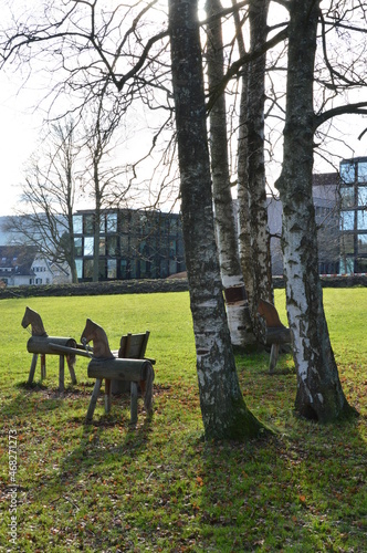 at the St. Gallen University