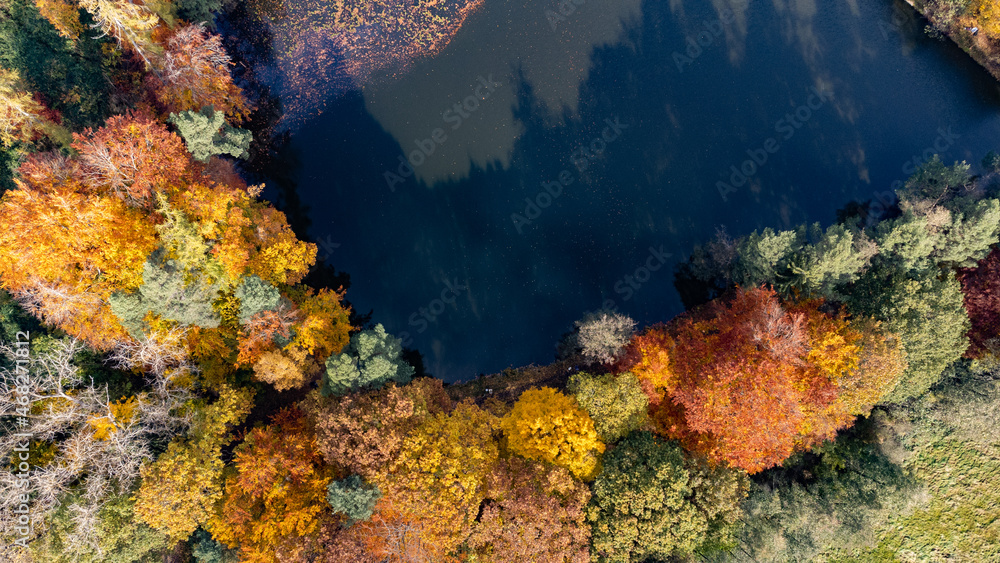 Herbstwald mit See