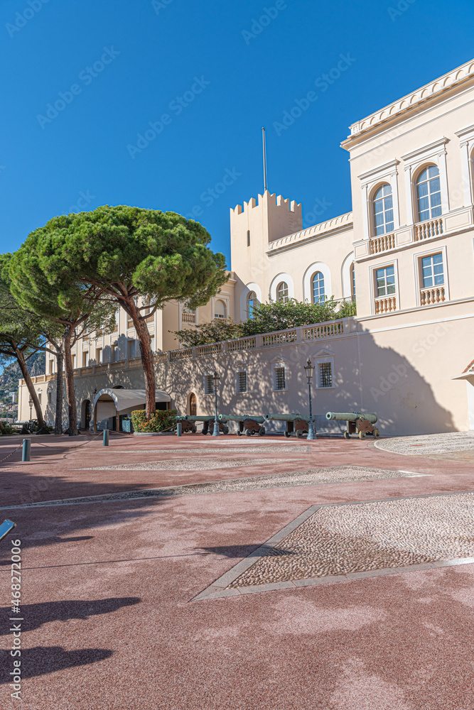Le palais de Monaco sous le soleil