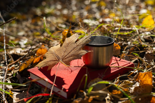 Thermos of hot tea red diary and yellow fallen maple leaf in autumn.