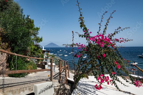 Insel Panarea mit pinkfarbener Pflanze und Vulkaninsel Stromboli im Hintergrund