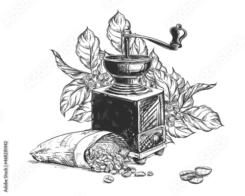 Hand drawn sketch black and white of coffee grain, mill, leaf, branch. Vector illustration. Elements in graphic style label, card, sticker, menu, package. Engraved style illustration.