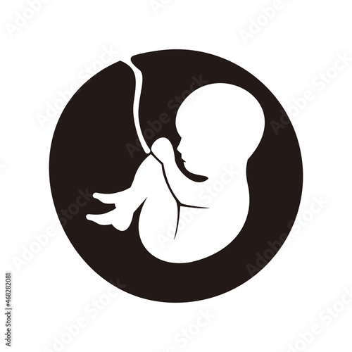 Fetus icon embryo human illustration sign  