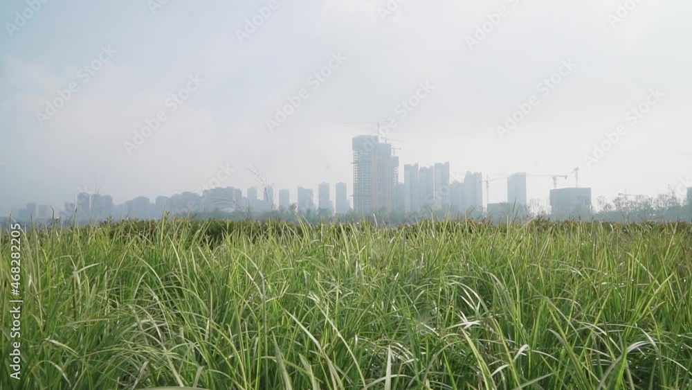 Landscape features of urban parks in Chengdu City, China Landscape features of urban parks in Chengdu City, China